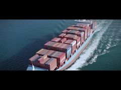 50 हर्ट्ज 60 हर्ट्ज आउटपुट फैक्ट्री के साथ मल्टी प्रोटेक्शन सिंगल/थ्री फेज़ वीएफडी