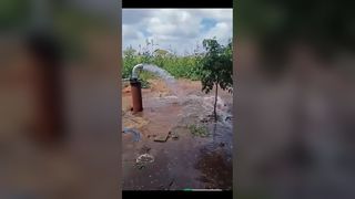 रंगीन एलसीडी के साथ वेइकोंग सोलर पंप ड्राइव को केन्याई ग्राहकों से उच्च प्रशंसा मिली