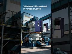 ऊर्ध्वाधर कोल्हू में VEIKONG VFD